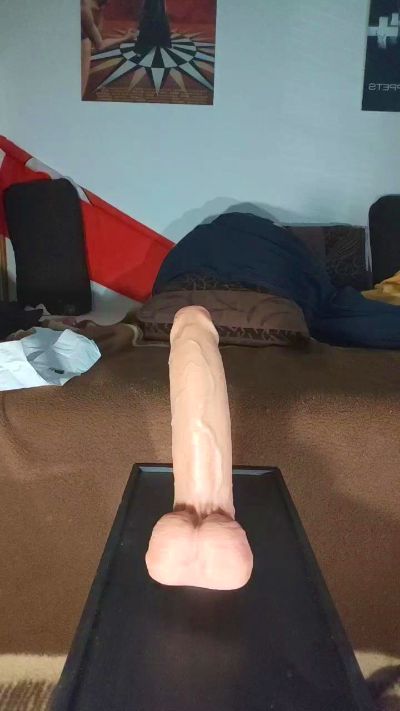 stutenarsch3 live cam on Cam4