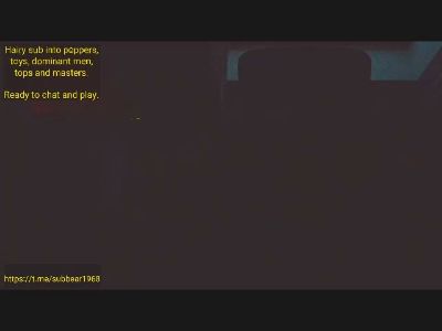 subbear1968 live cam on Cam4