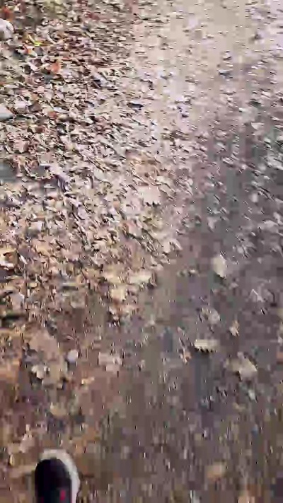 submarine3 live cam on Cam4