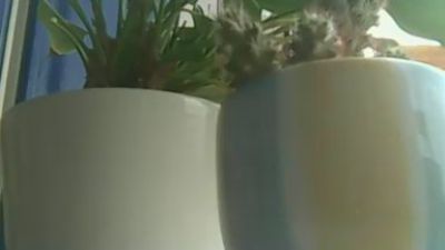 submb64 live cam on Cam4