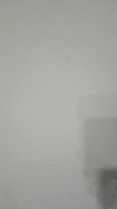 suitsabidog live cam on Cam4
