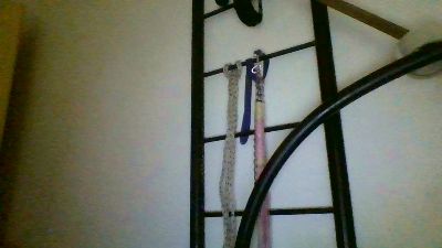 sumisobadd live cam on Cam4