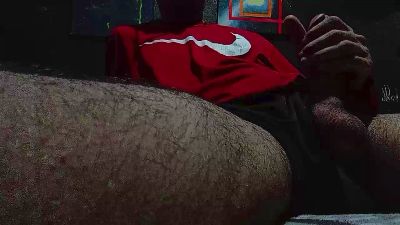 Preview of suncamel2