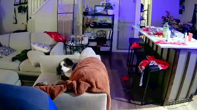 sunnyvibes1985 live cam on Cam4