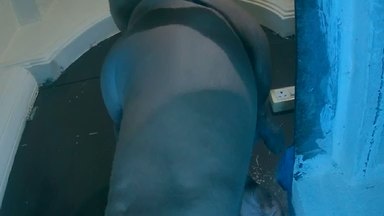sures06 live cam on Cam4