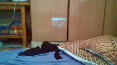 sweetgyalhot live cam on Cam4