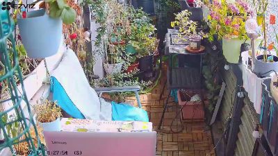 sweetnude83 live cam on Cam4