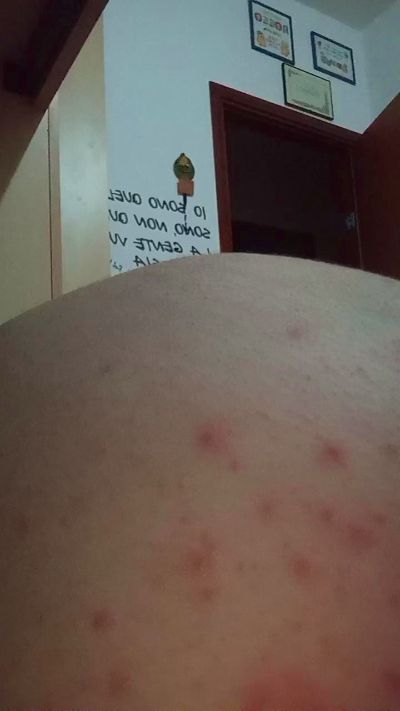 tadejpogacar1 live cam on Cam4