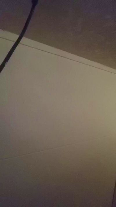 tallgentleman live cam on Cam4