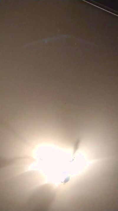 tanisexyhot live cam on Cam4
