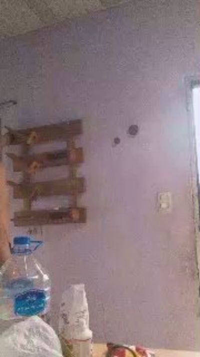 tanobighorse live cam on Cam4