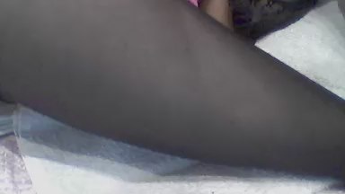 tantoporca1 live cam on Cam4