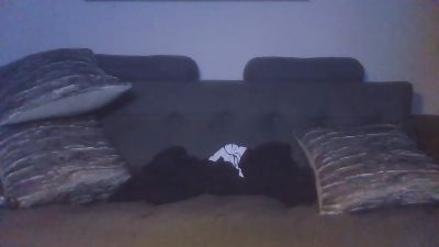 tatan302020 live cam on Cam4
