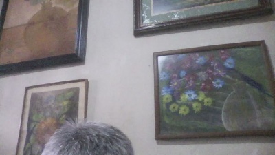 tecnicoencelul1 Live Cam on Cam4 and RICams