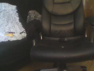 tedi096 live cam on Cam4