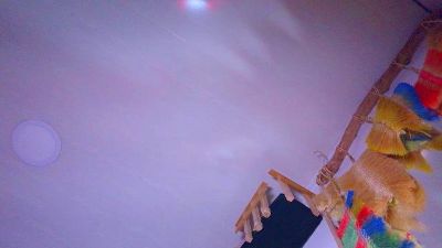 the_dog_lian live cam on Cam4
