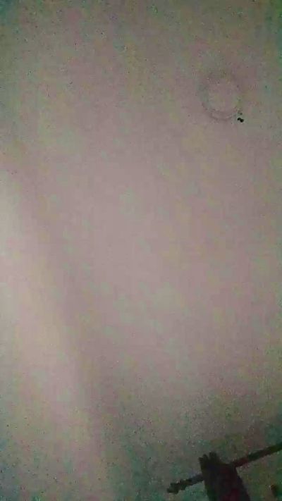 thepapi247 live cam on Cam4