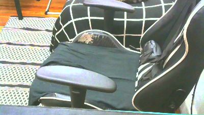 thick_tip live cam on Cam4