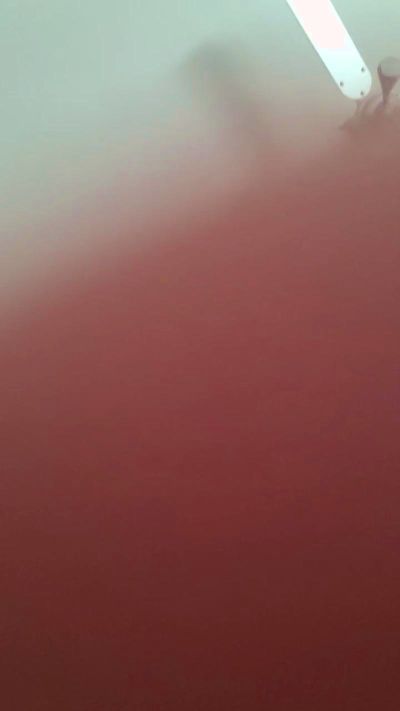 tijgertjee_xxx live cam on Cam4