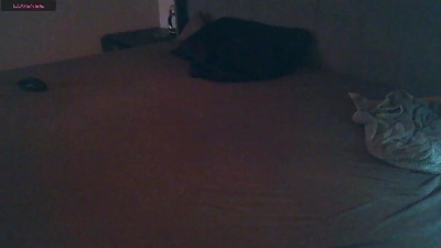 tijgertjee_xxx live cam on Cam4