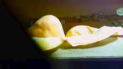 timdong live cam on Cam4