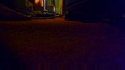 timdong live cam on Cam4