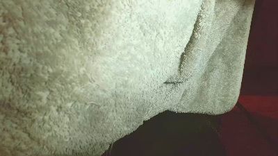 tiny1999 live cam on Cam4