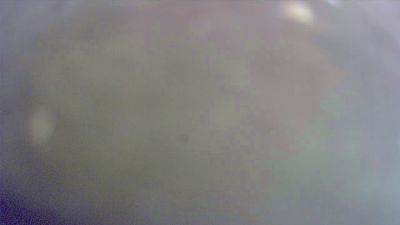 tinydick1971 live cam on Cam4