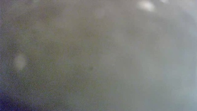 tinydick1971 live cam on Cam4