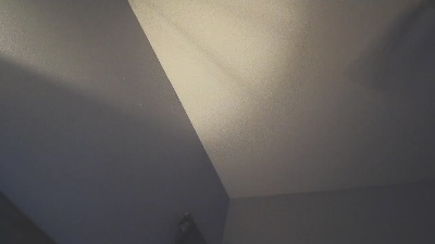 tipytopmufintop live cam on Cam4