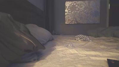 tipytopmufintop live cam on Cam4