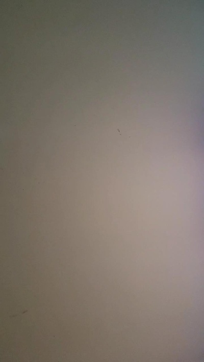 titifranck77 live cam on Cam4