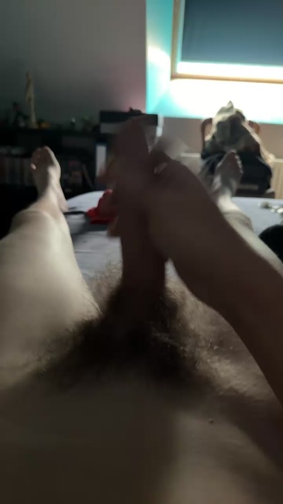 titilebzeur live cam on Cam4