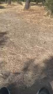 tkee90 live cam on Cam4