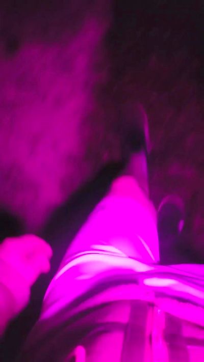 tomsauwer live cam on Cam4