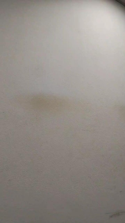 tonytuga live cam on Cam4
