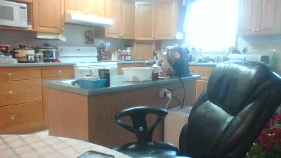 torem052 live cam on Cam4