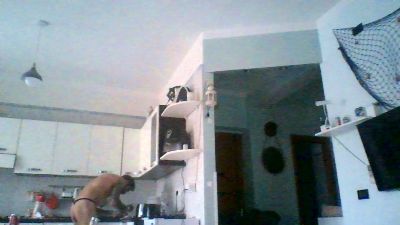 torinesebadboy live cam on Cam4