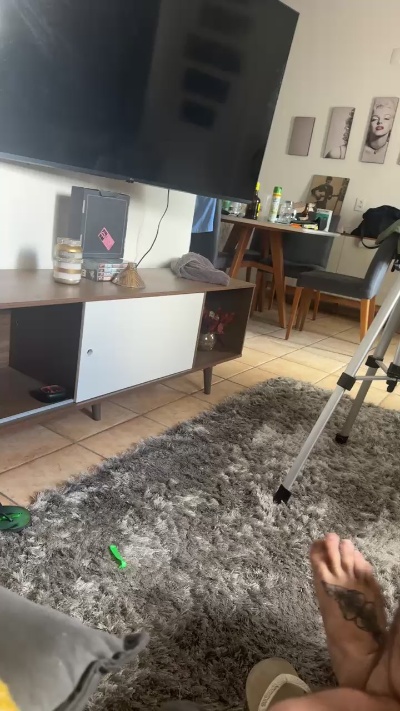 Preview of trapfalcon