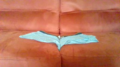trapic live cam on Cam4