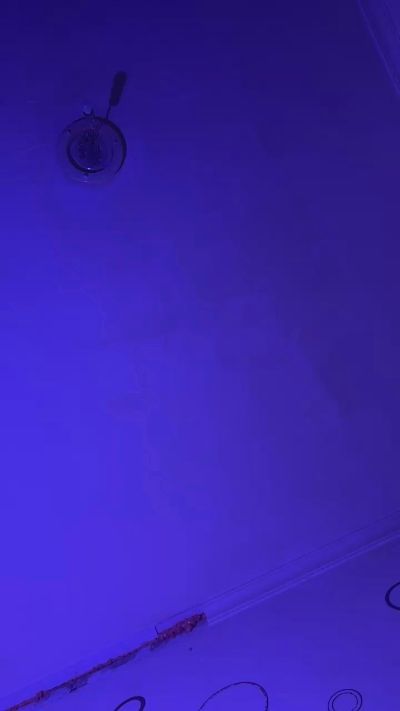 tropictol live cam on Cam4
