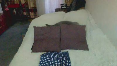 tvikssweetco live cam on Cam4