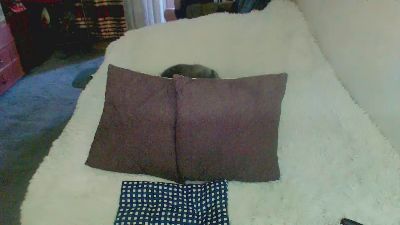 tvikssweetco live cam on Cam4