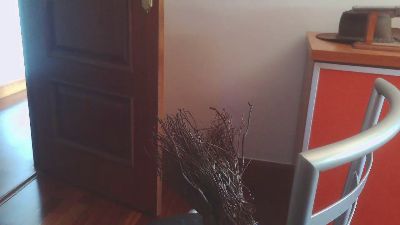 txintxo live cam on Cam4