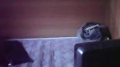 umbertomilo live cam on Cam4