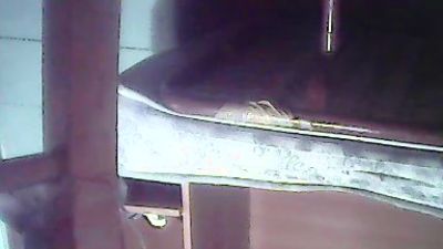 umbertomilo live cam on Cam4