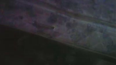 umbertomilo live cam on Cam4