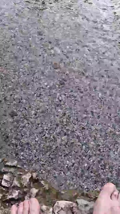 uncutcockitaly live cam on Cam4