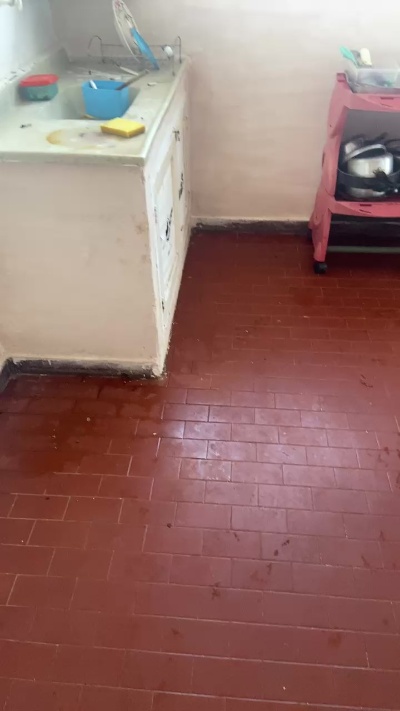 Preview of vadiagulosa1