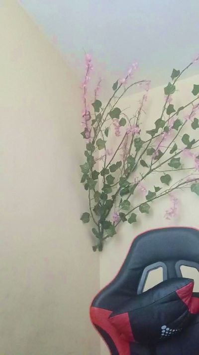 valeriaherrera5 live cam on Cam4
